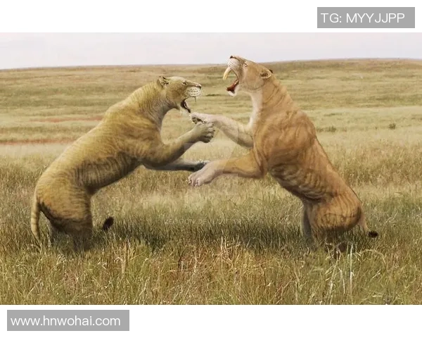 乌拉圭与Z鲁的激烈对决谁将赢得这场足球盛宴 乌拉圭与Z鲁的激烈对决谁将赢得这场足球盛宴